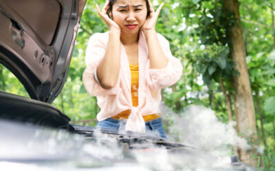 Premiere Service Center In Heath To Treat Subaru’s Blown Head Gasket